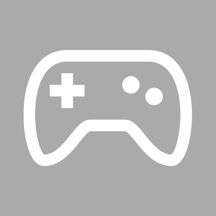 Gaming Accessories